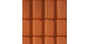 Alegra