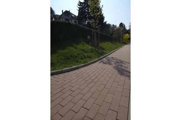 KANN Pavé standard rouge béton lisse 20x10cm ép.6cm