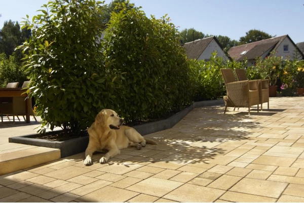 KANN Pavé La Tierra sunset béton lisse pose sauvage 6 cm ép.cm